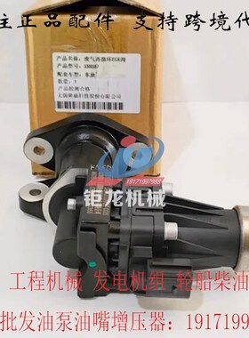 EGR阀5300587 24V废气再循环阀DF02Y00-24