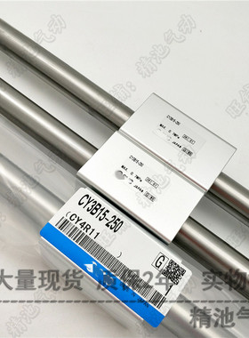 SMC型磁偶式无杆气缸CY3B40-550/600B/650/700/750/800/900/1000