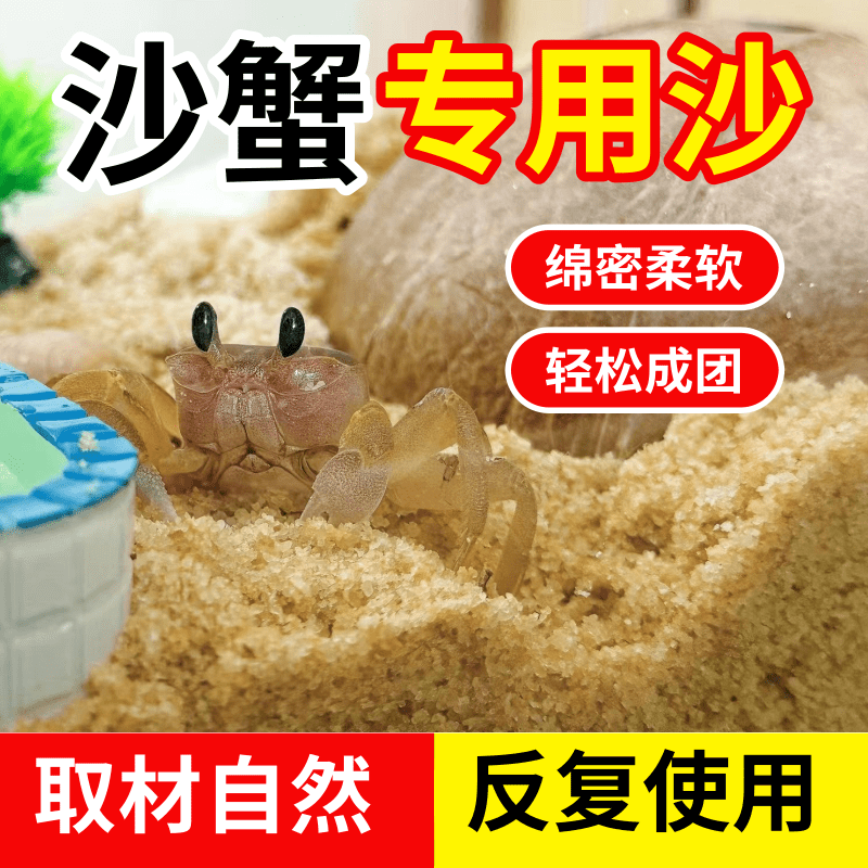 沙蟹专用沙天然海沙相守蟹螃蟹甲鱼乌龟冬眠孵化沙饲养箱沙子底沙,宠物/宠物食品及用品,爬宠垫料,淘宝优惠券,粉丝福利购,淘宝优惠卷