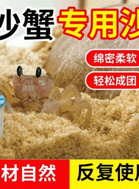 沙蟹专用沙天然海沙相守蟹螃蟹甲鱼乌龟冬眠孵化沙饲养箱沙子底沙