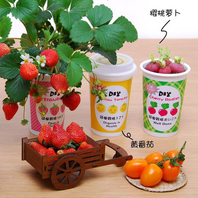 创意果杯diy蔬果花卉儿童盆栽种植礼物开心农场迷你小植物微景观|ruв категории доставка цветов/цветок моделирования/растения садоводства, творческие мини - растений - от Buy2taobao.com для оказания профессиональной услуги покупки агента Taobao