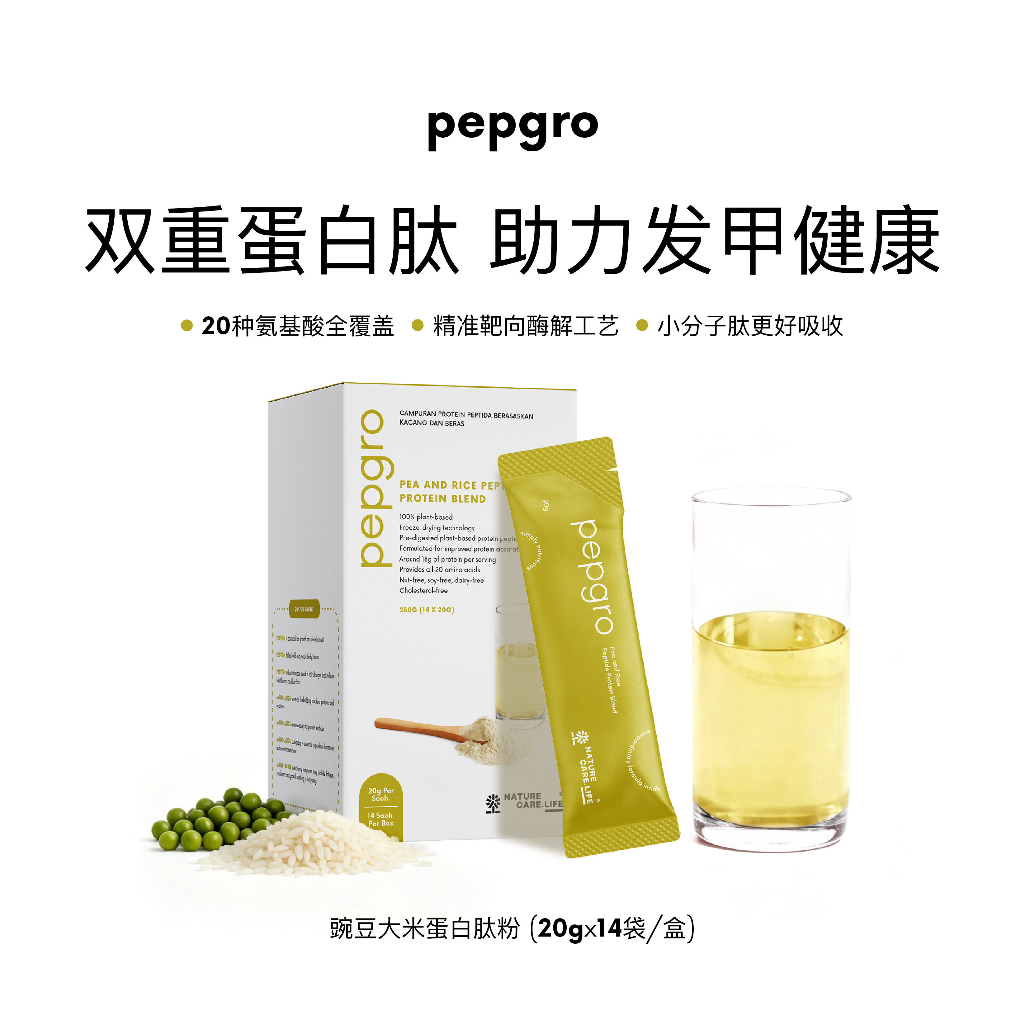 新品·纯植物豌豆大米蛋白肽小分子活性肽好吸收氨基酸蛋白质补充