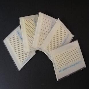 样品盒50孔 100孔 碳膜样品盒 透射电镜铜网样品盒 TEM电镜样品盒