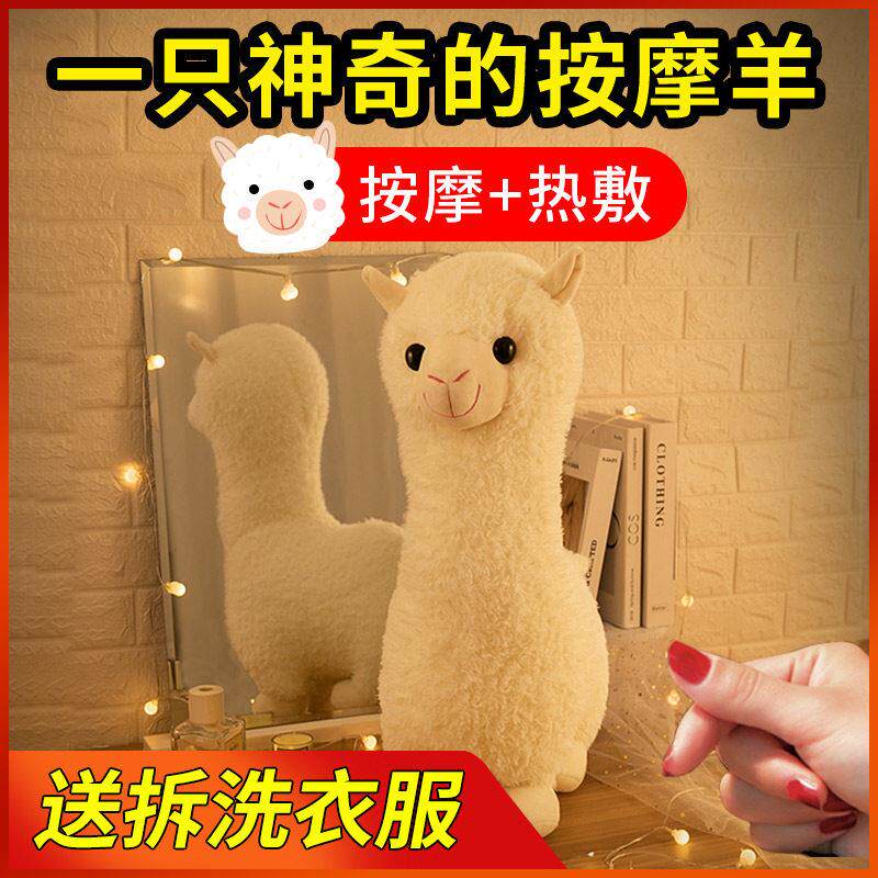 生日礼物给女孩给女朋友，朋友，妻子，实用的的朋友，高端按摩羊