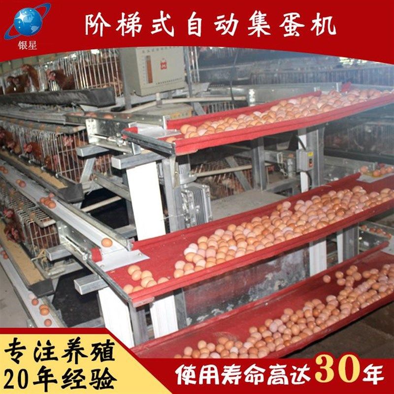 新款 全集蛋设备拾起鸡蛋 拾蛋机层式捡蛋机P自动集蛋机械包安装,机械设备,农业机械/园林设备/畜牧设备,淘宝优惠券,粉丝福利购,淘宝优惠卷