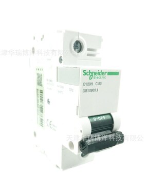 微型断路器eC120H 1P C80A空气开关A9N19808微断