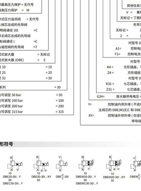 SHLIXIN立新比例阀DBEM20-30/31.5Y DBEHM20-30/200Y 100Y 50Y