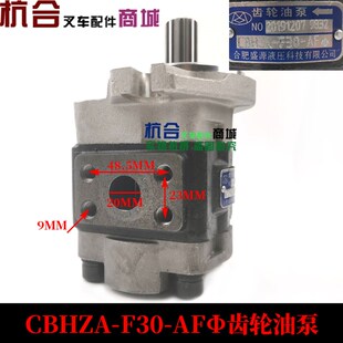 堆高机液压帮浦 适用杭叉R50 R60 R70齿轮泵 CBZHA-F30-XAF齿轮