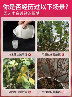 玫瑰花专用免稀释营养液玫瑰绣球月季花卉促花养花喷施通用叶面肥