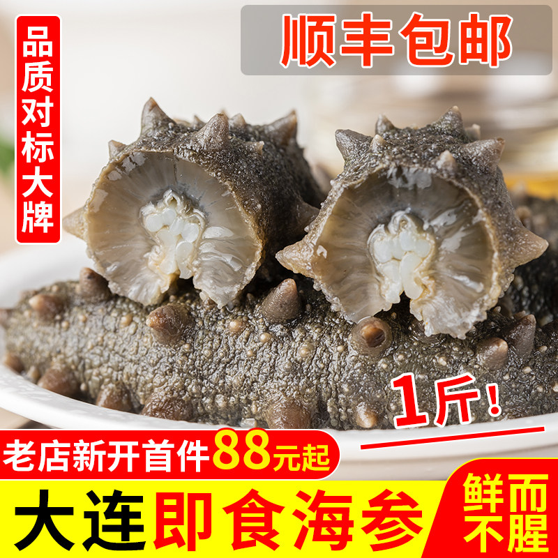 包邮500克即食海参大连辽刺参