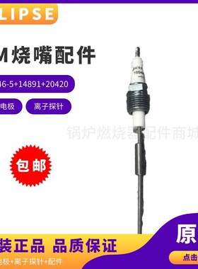 天时ECLIPSE火焰检测棒/16946-5+14891离子探针/2T0420点火电极议