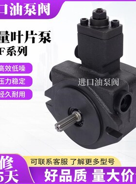 新款变量叶片泵VP40马达PVF-30油泵PVF-20液M压泵ANSONN台湾PV包