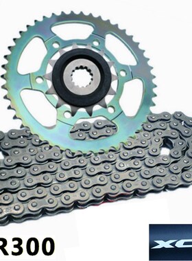 DR250 XCR300TR DR300摩托车减噪套链小飞大飞S牙盘链轮RK油封链