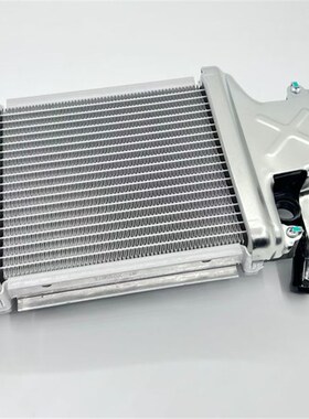适用机车踏板大阳ADV150T-36水箱VB锐DY150T-30/VRF39散热器冷却