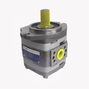 A32 福伊特齿轮泵IPV IPVAP 101注塑机油泵液压 IPVP