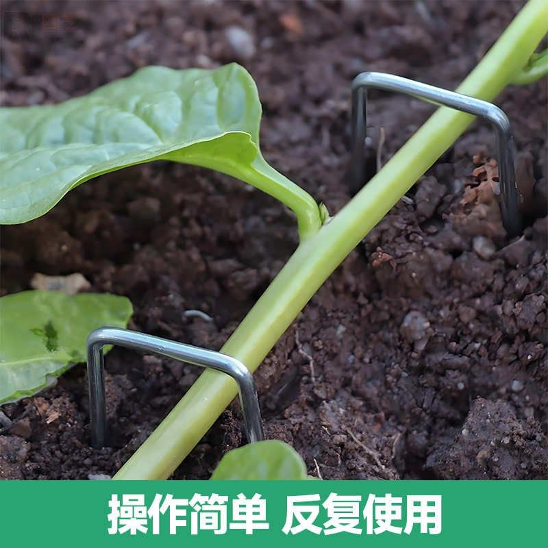 型地膜户外保温层u钉地u格栅钉钉地G膜布钉地钉草固定土工草坪型,鲜花速递/花卉仿真/绿植园艺,其它园艺用品,淘宝优惠券,粉丝福利购,淘宝优惠卷