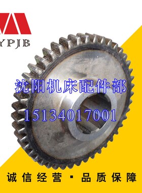 沈阳中捷镗床 gTPX6113 T6113 原厂 磨齿齿轮 21318B Z44