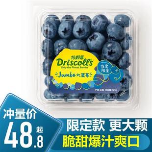 DRISCOLLS怡颗莓蓝莓鲜果新鲜云南孕妇水果当季 包邮 限定特大果