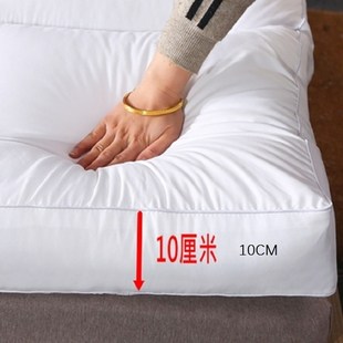 10cm Thicgkened comfort soft mattress Portable Health filler