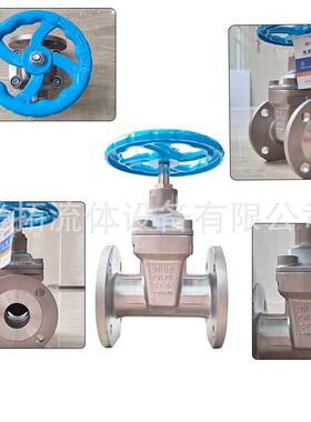 不锈钢闸阀Z45X-16P/25P304软密封法兰中高R压不锈钢钢制阀门光拓