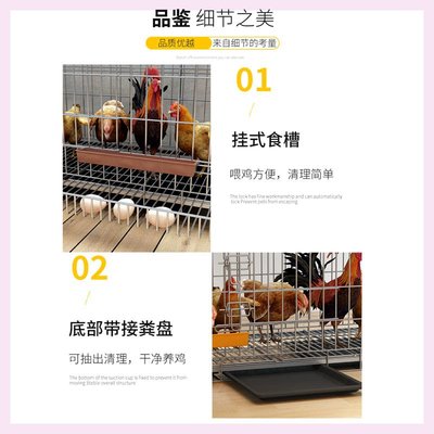 鸡下蛋的笼子养鸡笼大特大号自动清粪折叠养殖P笼鸡舍铁丝网鸭鹅