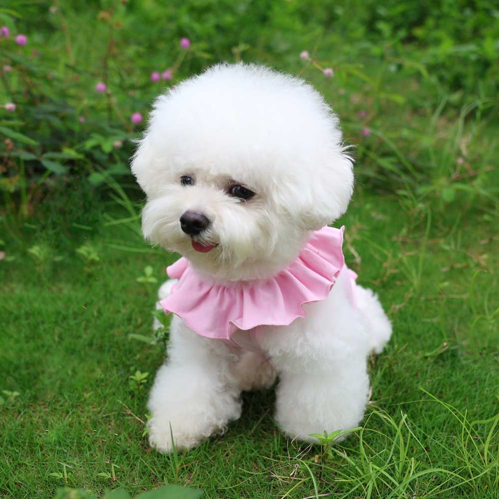 meoof 觅凹猫咪绝育服薄款B透气宠物弹力服母猫手术后防舔衣服