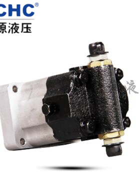 合肥长源液压覆e合双向齿轮油泵CBWS/F-D304/306/308/314/320-CLP