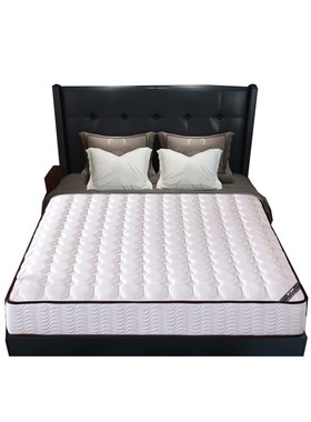 臻远 ZY-ML-H09202 席梦思弹簧H床垫 1200*2000 白色