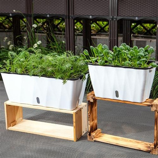 懒人自动吸水花盆家庭阳台种菜神器长方形大号塑料蔬菜种植箱清仓