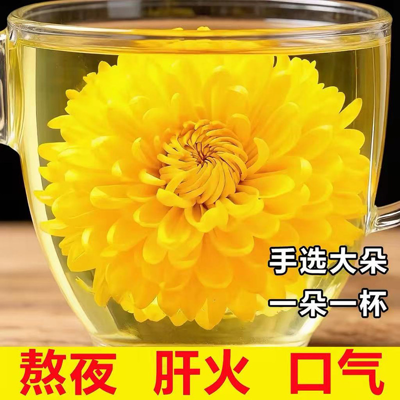 菊花茶黄山高山金丝大皇菊贡菊胎菊泡水一朵一杯特产官方旗舰正品