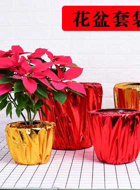 金色花盆套袋年桔专用金布年花圣诞花盆套绿植套盆开业节日布置