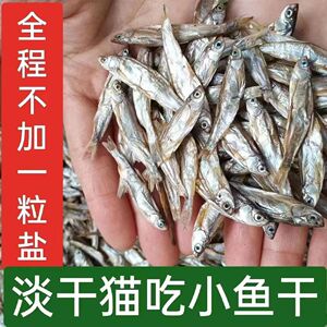 淡水无盐猫咪乌龟小鱼干