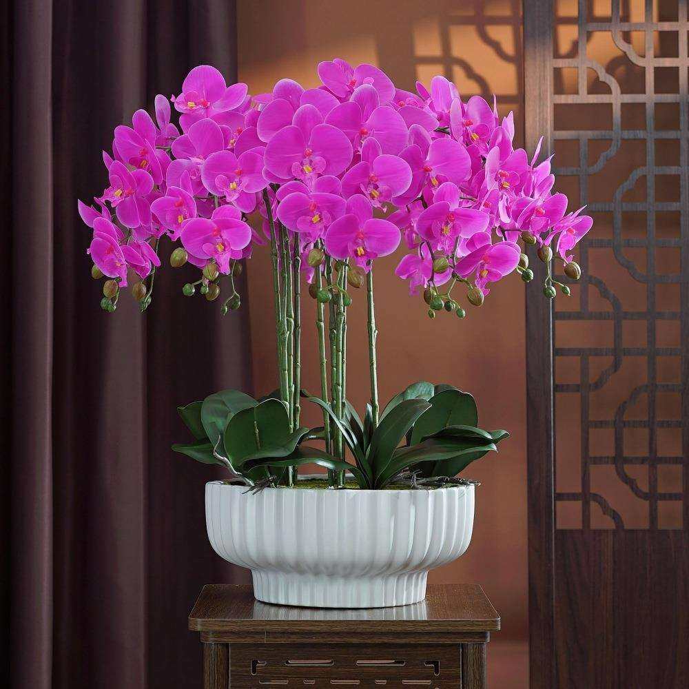 蝴蝶兰仿真花盆栽大盆新中式PU手感兰花客厅盆景柜台酒店前台花艺,鲜花速递/花卉仿真/绿植园艺,割草机/草坪机,淘宝优惠券,粉丝福利购,淘宝优惠卷