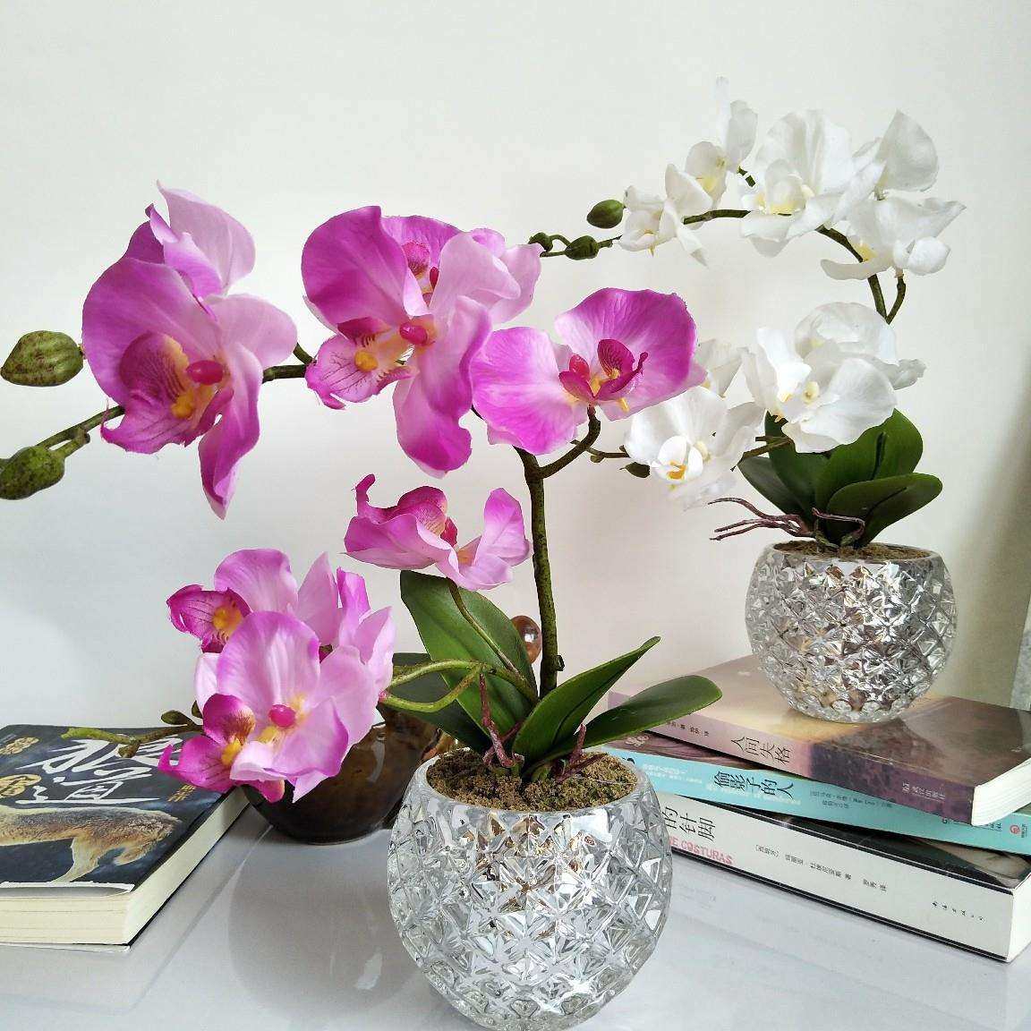 手感蝴蝶兰仿真绿植盆景 新中式家居客厅餐桌样板间装饰假花,鲜花速递/花卉仿真/绿植园艺,割草机/草坪机,淘宝优惠券,粉丝福利购,淘宝优惠卷