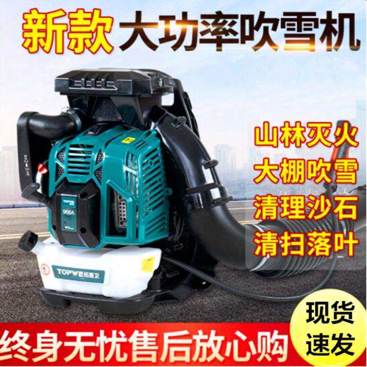 农用两冲程背负式吹雪机价格大马力汽油吹风机马路环卫吹落叶机器,农机/农具/农膜,其它农用工具,淘宝优惠券,粉丝福利购,淘宝优惠卷