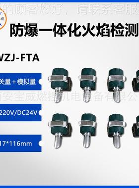 BWJ-FTBWZJ-FTAA火 燃气炉焰监测器 紫外线焰火探测装Z置