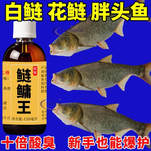 高配鲢鳙王【杆杆咬口】