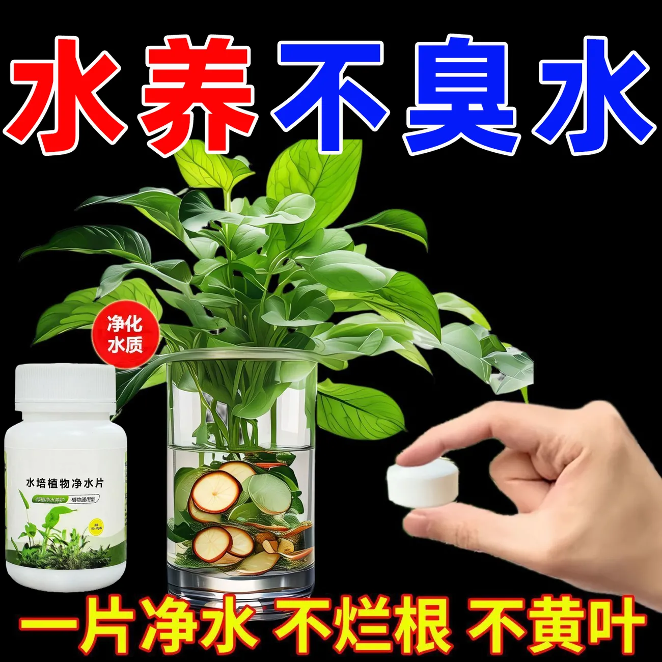 【养花不换水】净水免换水培植物通用鲜花保鲜消毒片专用净水保鲜