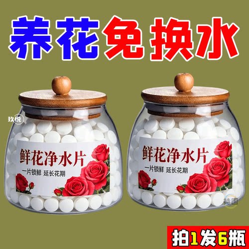 鲜花净水片水培植物消毒片水养花卉保鲜剂净化水质花期延长保鲜剂