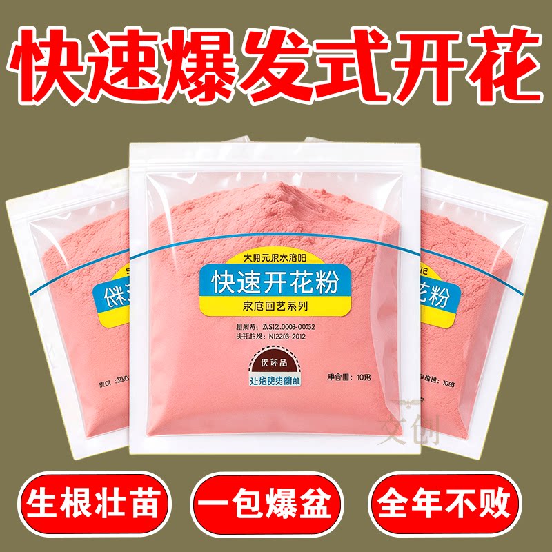 开花粉催花爆盆促使花枝不断绽放