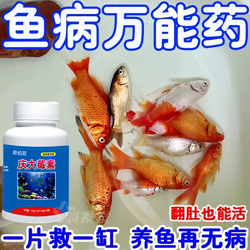 【養魚萬能藥】魚病通治抗菌消炎