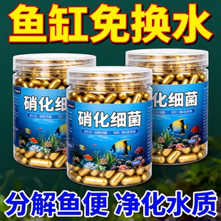 硝化细菌鱼缸用专用胶囊净水剂颗粒活菌干粉水质稳定净化水族鱼用