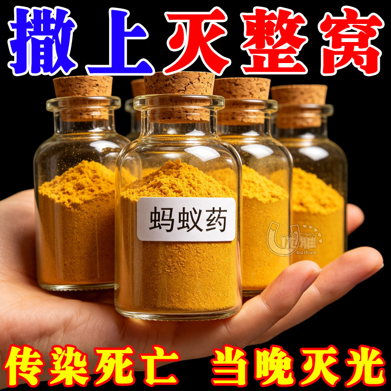 室内蚂蚁药引诱巢穴蚂蚁连锁中毒
