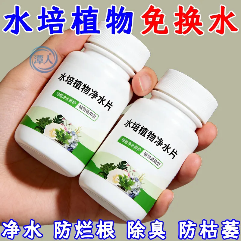 爆根】富贵竹专用净水片水培植物净水片防水发臭黄叶促生根保鲜片
