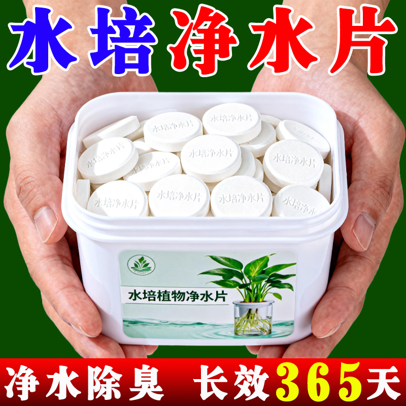 净水不烂根水培营养片植物蹭蹭长