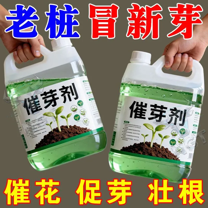 老桩催芽剂花卉营养液促芽僵苗快速发新芽防黄叶生根催芽绿植通用