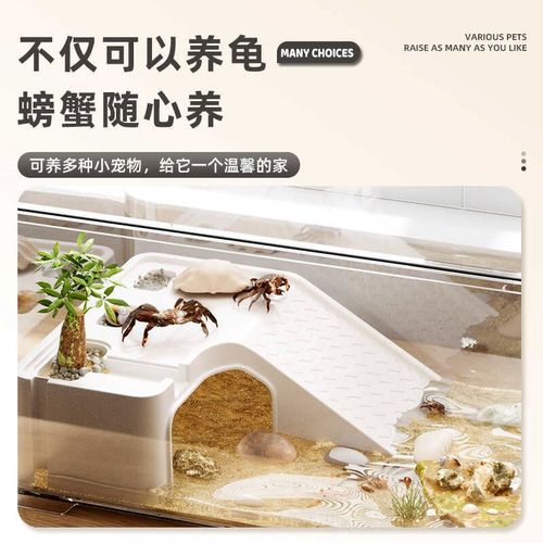 乌龟饲养缸桌面超白n小鱼缸客厅斗鱼生态缸养乌龟专用缸家用乌