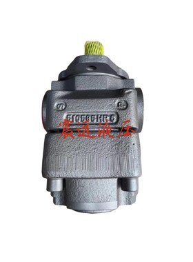 液压柱塞泵QX21-012R112-Y液压油泵齿轮泵LQX22 QX23 QX32