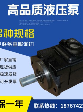 DENISON丹尼逊T6C 010 1R00 B1 T6C 012 2PR01 B1高压叶片泵液压