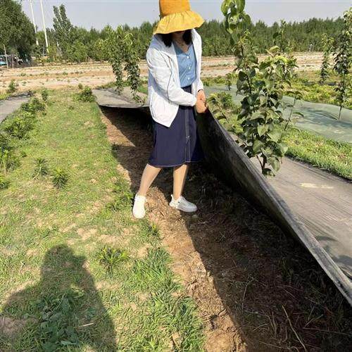 速发三到五年编织果园防草布保温保湿H透水透气抗老化防草布厂家,农机/农具/农膜,农用防草地布/除草布,淘宝优惠券,粉丝福利购,淘宝优惠卷